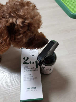 준맘님이 올린 리뷰 사진 2