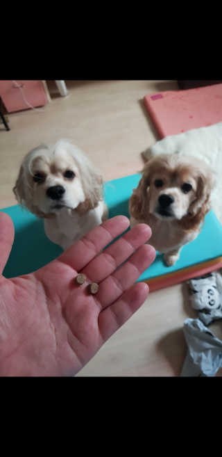 콜보리님이 올린 리뷰 사진 3