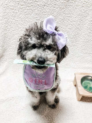 바니님이 올린 리뷰 사진 1