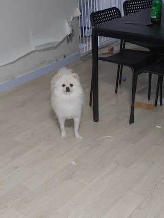 민댕이님이 올린 리뷰 사진 2