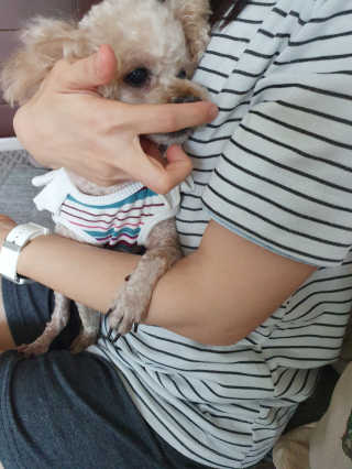위니님이 올린 리뷰 사진 3