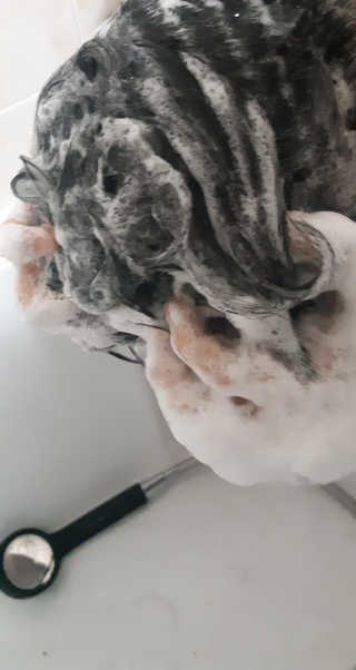 새돌댕댕님이 올린 리뷰 사진 4
