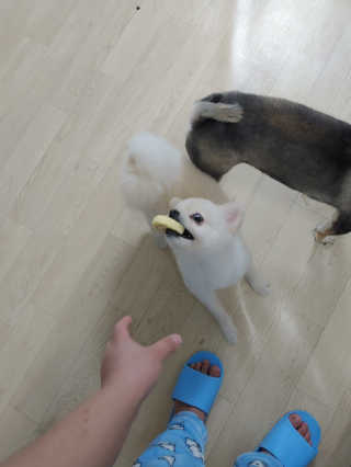 민댕이님이 올린 리뷰 사진 3