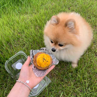 이하린님이 올린 리뷰 사진 2
