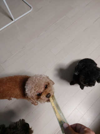 몽이님이 올린 리뷰 사진 3