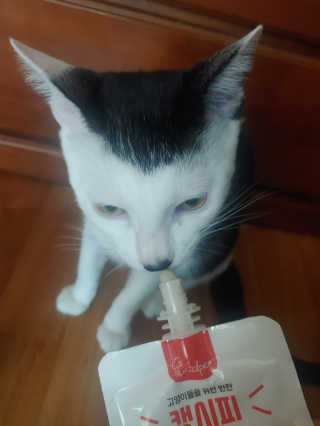 이누닷님이 올린 리뷰 사진 3