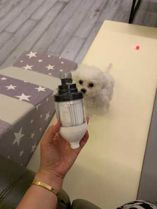 큐티윤님이 올린 리뷰 사진 2