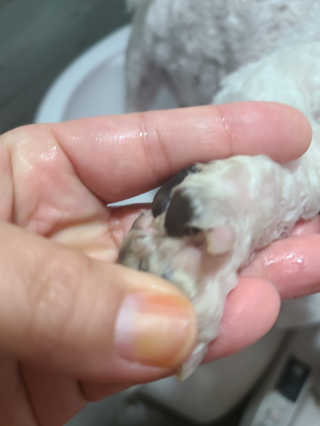 Claire님이 올린 리뷰 사진 2