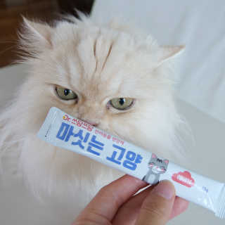 사나님이 올린 리뷰 사진 4