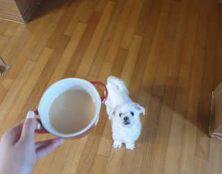 YLEMOM님이 올린 리뷰 사진 3