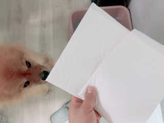 이대현님이 올린 리뷰 사진 4