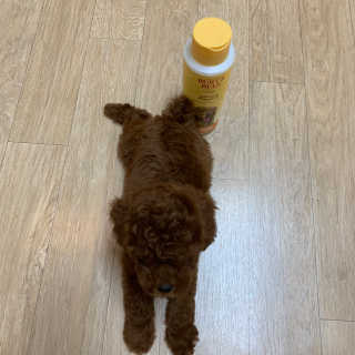 미지님이 올린 리뷰 사진 2