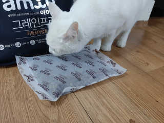 야키소바빵님이 올린 리뷰 사진 2