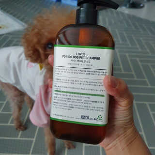 샛별꼬미호두맘님이 올린 리뷰 사진 3