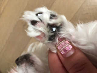갱티치님이 올린 리뷰 사진 3