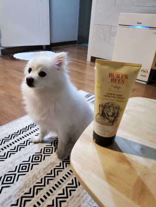 버츠비 케어플러스 릴리빙포앤노즈로션 — 5점을 준 리뷰어가 2020년 10월 올린 사용 사진