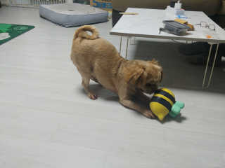 kiki._.yeji님이 올린 리뷰 사진 3