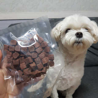 My Pet Care 천연단백질 눈건강에 개좋아 — 5점을 준 리뷰어가 2020년 12월 올린 사용 사진