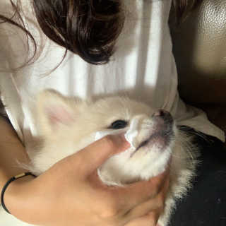 withmin님이 올린 리뷰 사진 4