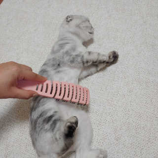 유햐님이 올린 리뷰 사진 3