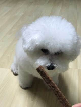My Pet Care 천연단백질 치아건강에 개좋아 — 4점을 준 리뷰어가 2020년 11월 올린 사용 사진