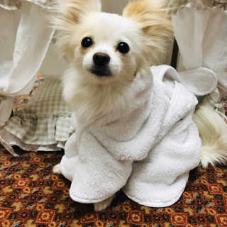 쏭블리님이 올린 리뷰 사진 2