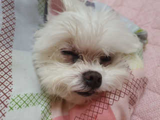라임님이 올린 리뷰 사진 3