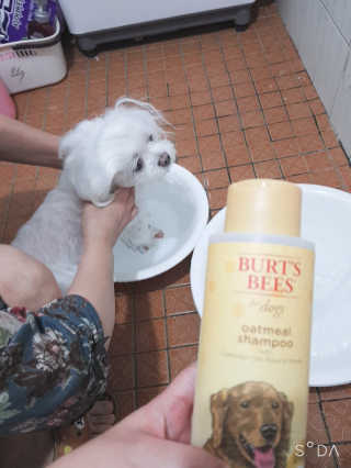 두부님이 올린 리뷰 사진 1