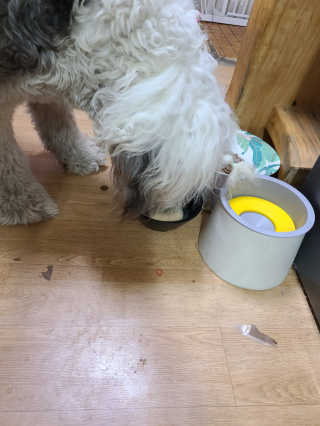 손톱마녀님이 올린 리뷰 사진 3