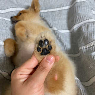 희공주님이 올린 리뷰 사진 3