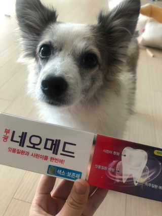 봄날연구소 부광 네오메드치약 2개+ 30g 휴대용 미니치약 — 4점을 준 리뷰어가 2020년 11월 올린 사용 사진