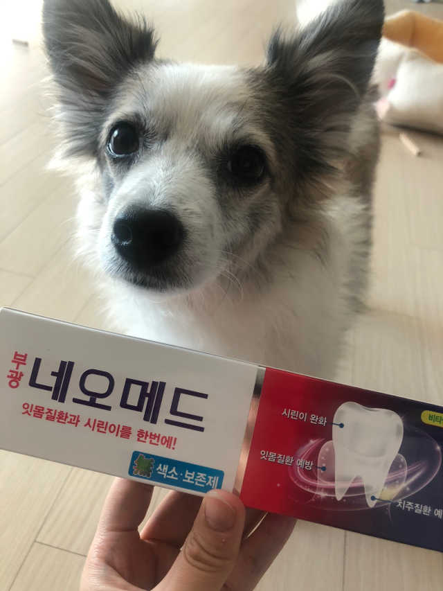 부광 네오메드치약 2개+ 30g 휴대용 미니치약 리뷰 사진
