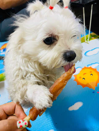 해바라기햇님님이 올린 리뷰 사진 2