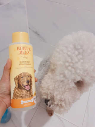인스타(__180226)맞팔할게요💗님이 올린 리뷰 사진 1
