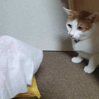 이째님이 올린 리뷰 사진 3