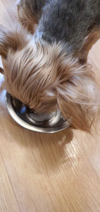 포포맘님이 올린 리뷰 사진 3