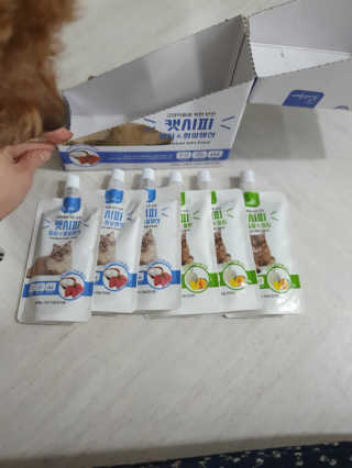 탱크돌콩님이 올린 리뷰 사진 1