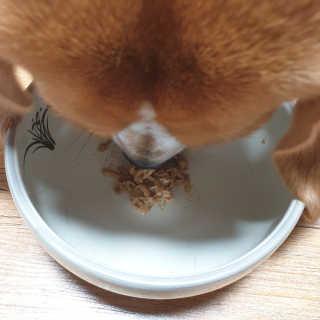 beaglelove님이 올린 리뷰 사진 2