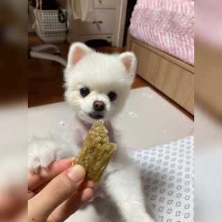 예린최님이 올린 리뷰 사진 2