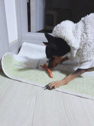 도도님이 올린 리뷰 사진 2