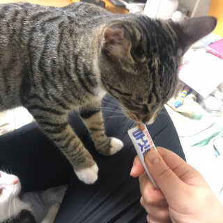 쎄미님이 올린 리뷰 사진 2