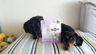 My Pet Care 천연단백질 치아건강에 개좋아 — 4점을 준 리뷰어가 2020년 11월 올린 사용 사진