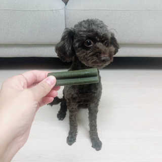 [푸디웜] 라포그 코어덴탈츄 그린 (10개입) — 5점을 준 리뷰어가 2020년 10월 올린 사용 사진