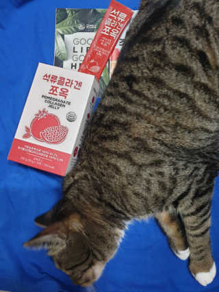 조은약초 석류콜라겐 석류즙 석류쪼옥 젤리 스틱 15포 x 20g — 5점을 준 리뷰어가 2020년 8월 올린 사용 사진