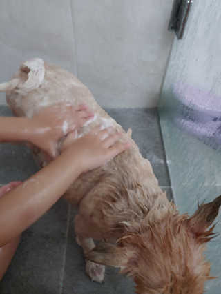 연떠님이 올린 리뷰 사진 3