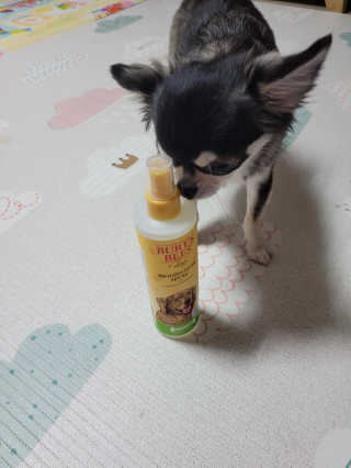 빈이율빠님이 올린 리뷰 사진 3