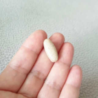 시크하게님이 올린 리뷰 사진 4