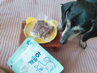 My Pet Care 천연단백질 눈건강에 개좋아 — 5점을 준 리뷰어가 2020년 12월 올린 사용 사진