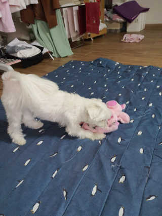 뽀오오옹님이 올린 리뷰 사진 3