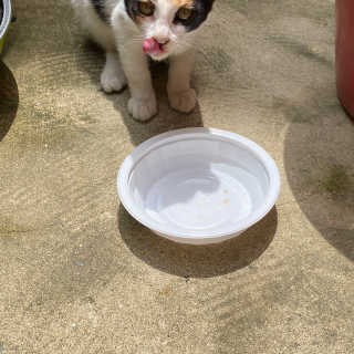 피츄카님이 올린 리뷰 사진 4